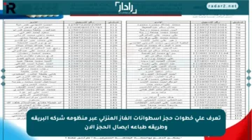 تعرف على خطوات حجز إسطوانات الغاز المنزلي عبر منظومة شركة البريقة وطريقة طباعة إيصال الحجز الآن